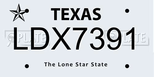 LDX7391 Texas License Plate