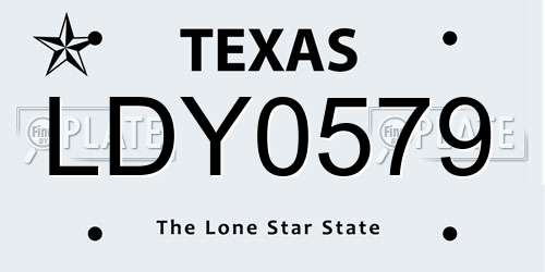 LDY0579 Texas License Plate