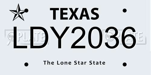 LDY2036 Texas License Plate