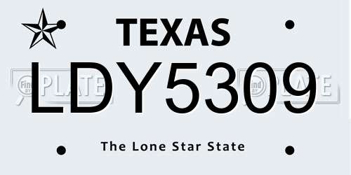 LDY5309 Texas License Plate