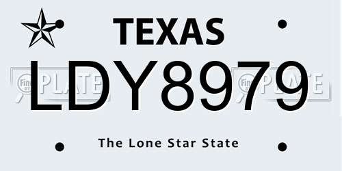 LDY8979 Texas License Plate