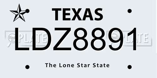 LDZ8891 Texas License Plate