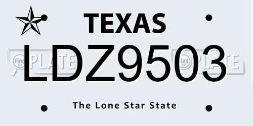 LDZ9503 Texas License Plate