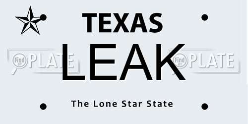 LEAK Texas License Plate