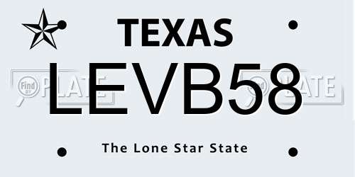 LEVB58 Texas License Plate