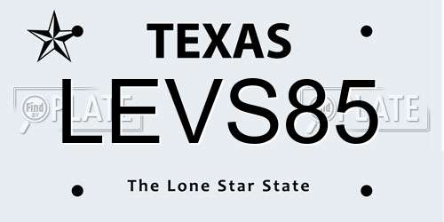 LEVS85 Texas License Plate