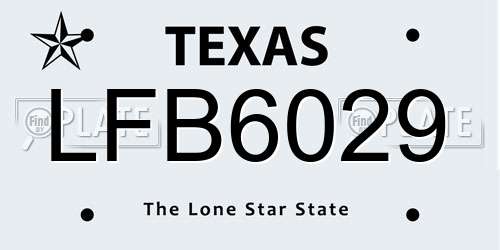 LFB6029 Texas License Plate