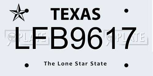 LFB9617 Texas License Plate