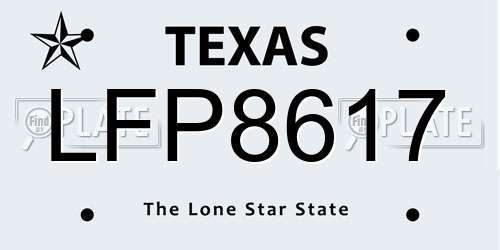 LFP8617 Texas License Plate