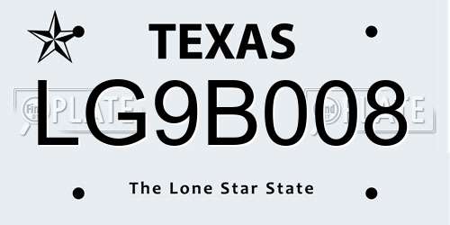 LG9B008 Texas License Plate