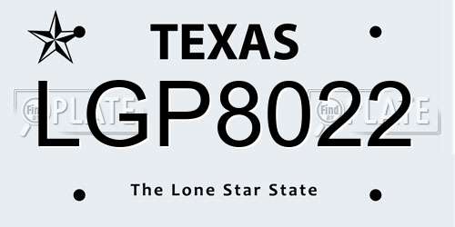 LGP8022 Texas License Plate