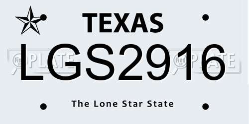 LGS2916 Texas License Plate