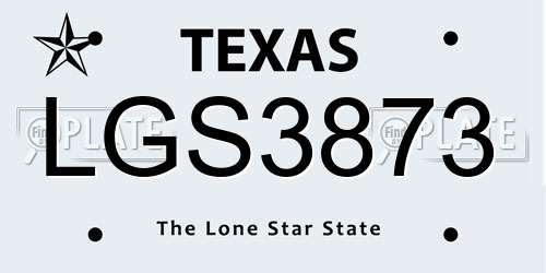 LGS3873 Texas License Plate