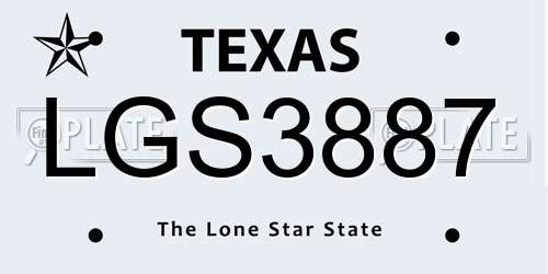 LGS3887 Texas License Plate