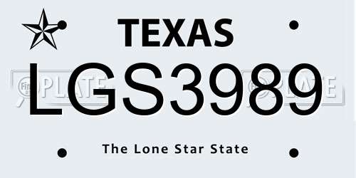 LGS3989 Texas License Plate