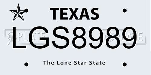 LGS8989 Texas License Plate