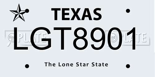LGT8901 Texas License Plate