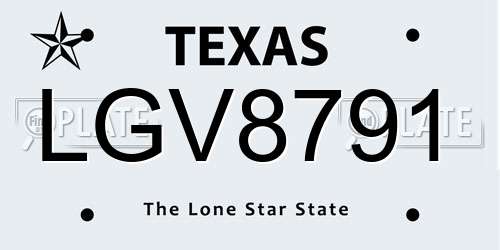 LGV8791 Texas License Plate