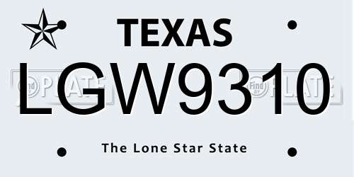 LGW9310 Texas License Plate