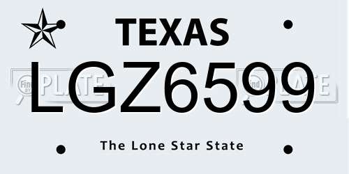 LGZ6599 Texas License Plate