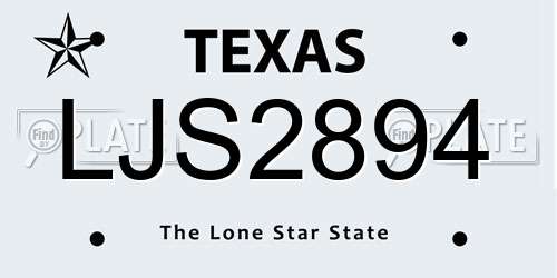 LJS2894 Texas License Plate