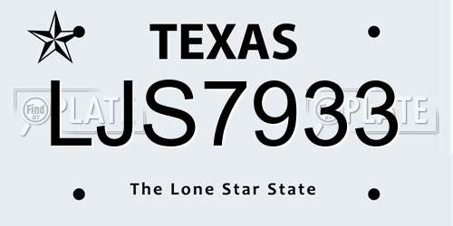 LJS7933 Texas License Plate