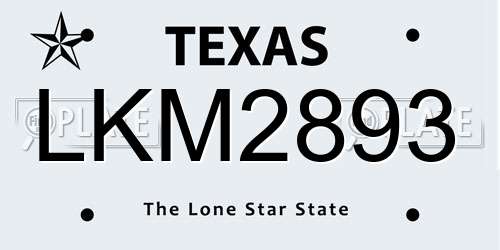LKM2893 Texas License Plate