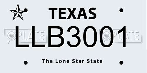 LLB3001 Texas License Plate