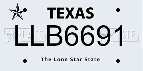 LLB6691 Texas License Plate