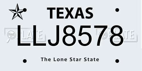 LLJ8578 Texas License Plate
