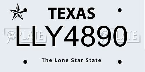LLY4890 Texas License Plate