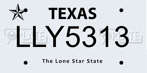 LLY5313 Texas License Plate