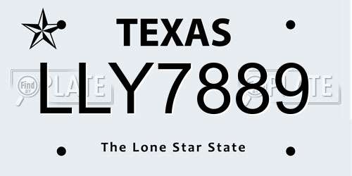 LLY7889 Texas License Plate