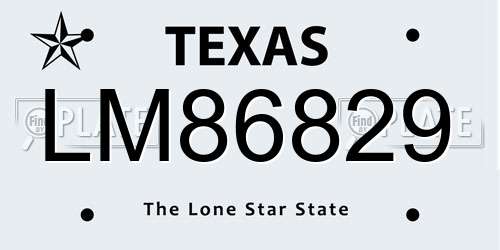 LM86829 Texas License Plate