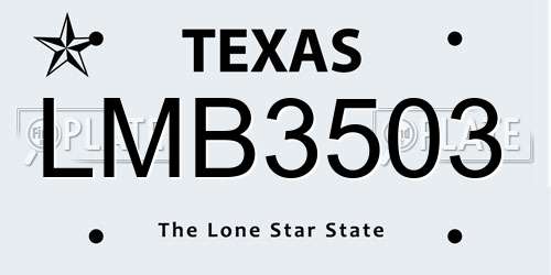 LMB3503 Texas License Plate