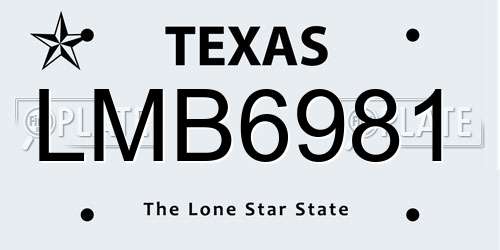 LMB6981 Texas License Plate