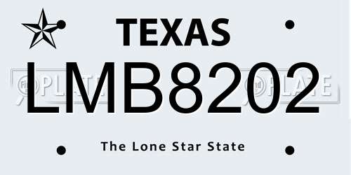 LMB8202 Texas License Plate