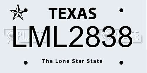 LML2838 Texas License Plate