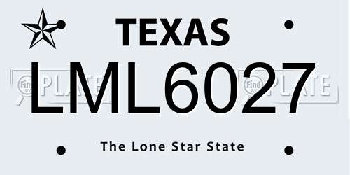 LML6027 Texas License Plate