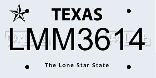 LMM3614 Texas License Plate