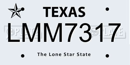 LMM7317 Texas License Plate