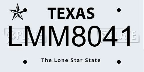 LMM8041 Texas License Plate