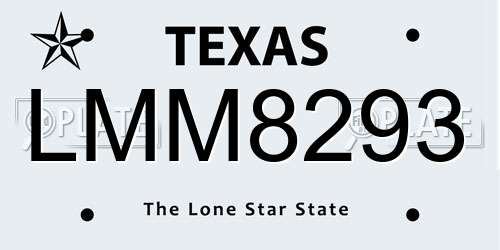 LMM8293 Texas License Plate