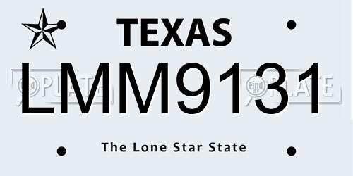 LMM9131 Texas License Plate