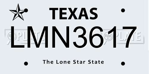 LMN3617 Texas License Plate