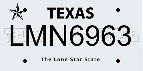 LMN6963 Texas License Plate
