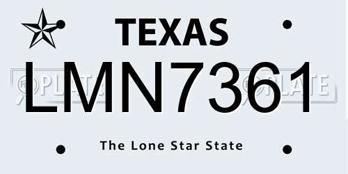 LMN7361 Texas License Plate