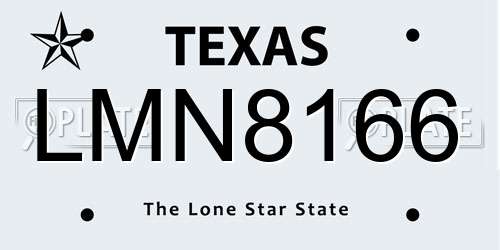 LMN8166 Texas License Plate
