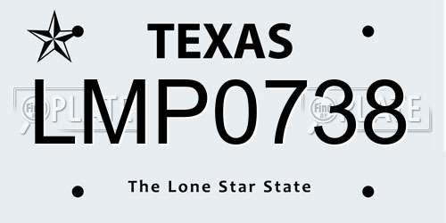 LMP0738 Texas License Plate