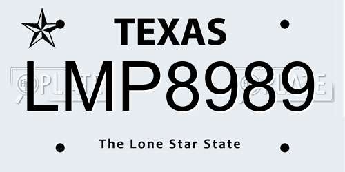 LMP8989 Texas License Plate